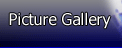picture gallery
